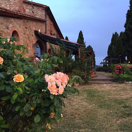 Agriturismo Le Vignacce Villa Santa Luce Ngoại thất bức ảnh