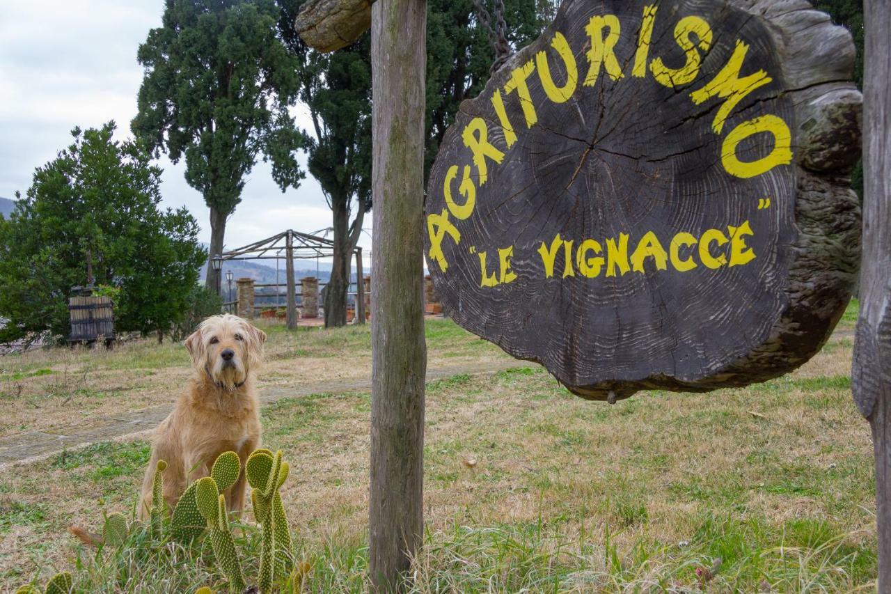 Agriturismo Le Vignacce Villa Santa Luce Ngoại thất bức ảnh