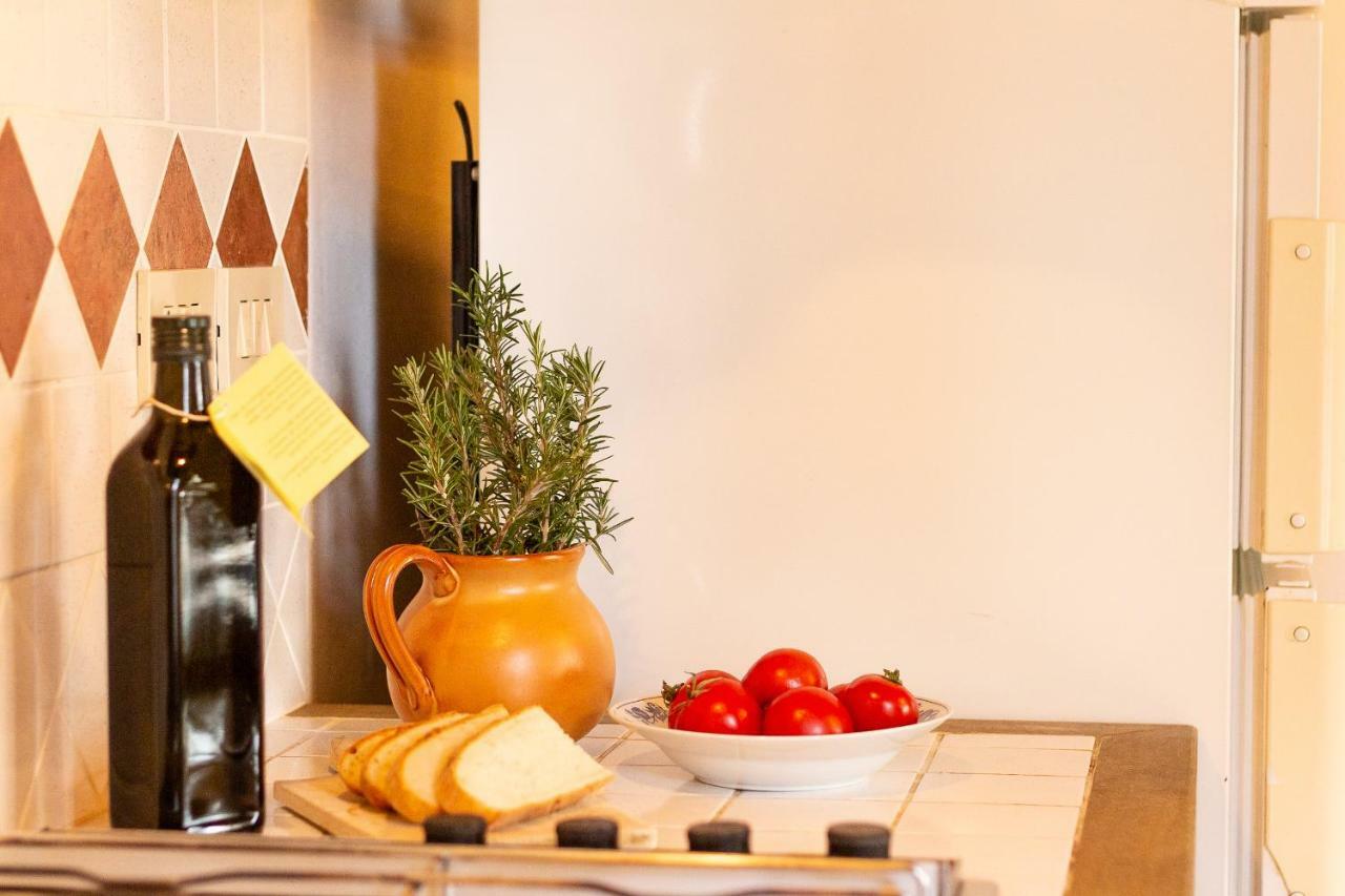 Agriturismo Le Vignacce Villa Santa Luce Ngoại thất bức ảnh